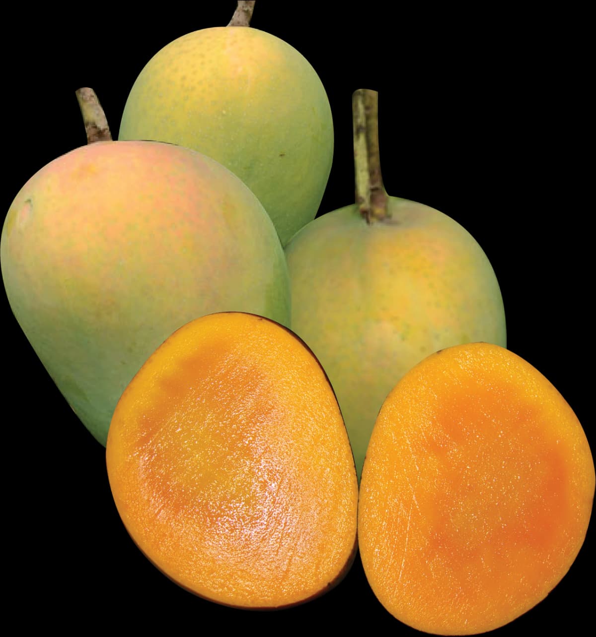 Premium Mango
